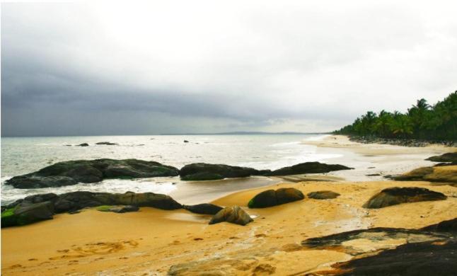 Hotel Nest Residency Kozhikode Exterior foto